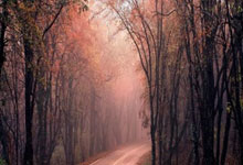 黑白体育官网：[国]三连败！国1比3不敌澳大利亚.