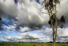 黑白体育官网：话题 ｜ 6月两场“生死战” 国足提前要做的事不少.