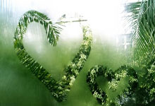 黑白体育官网：[CBA]孙思辰：辽宁队夺冠实至名归.