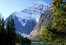 黑白体育官网：艾克森阿兰费南多 第1代非血缘归化国脚退出历史舞台.